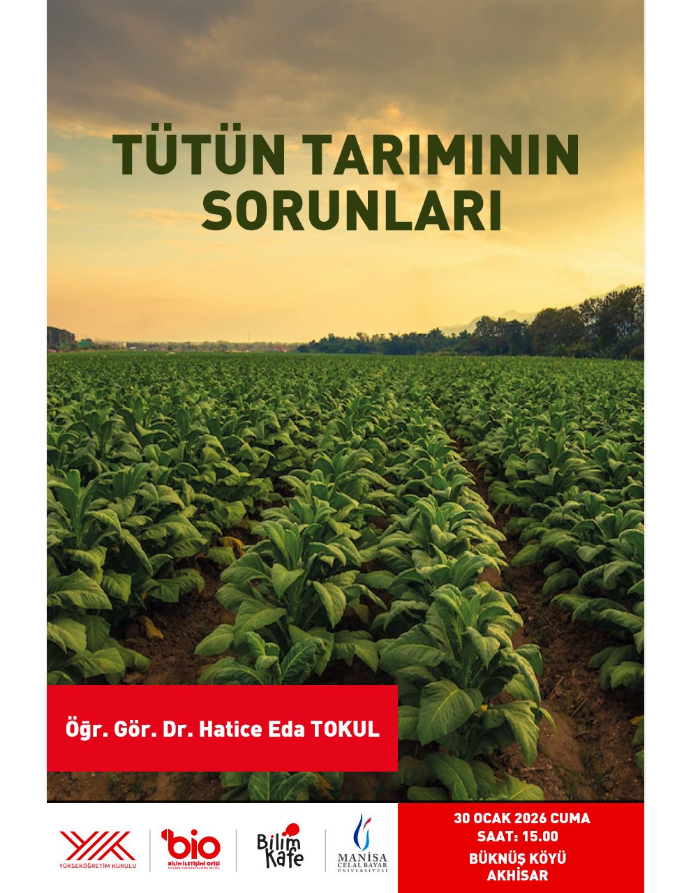 Tütün Tarımının Sorunları